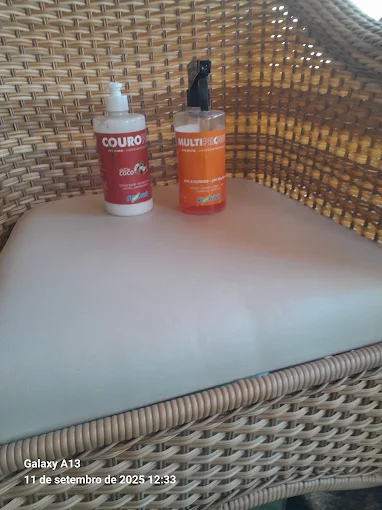Produtos profissionais utilizados na higienização